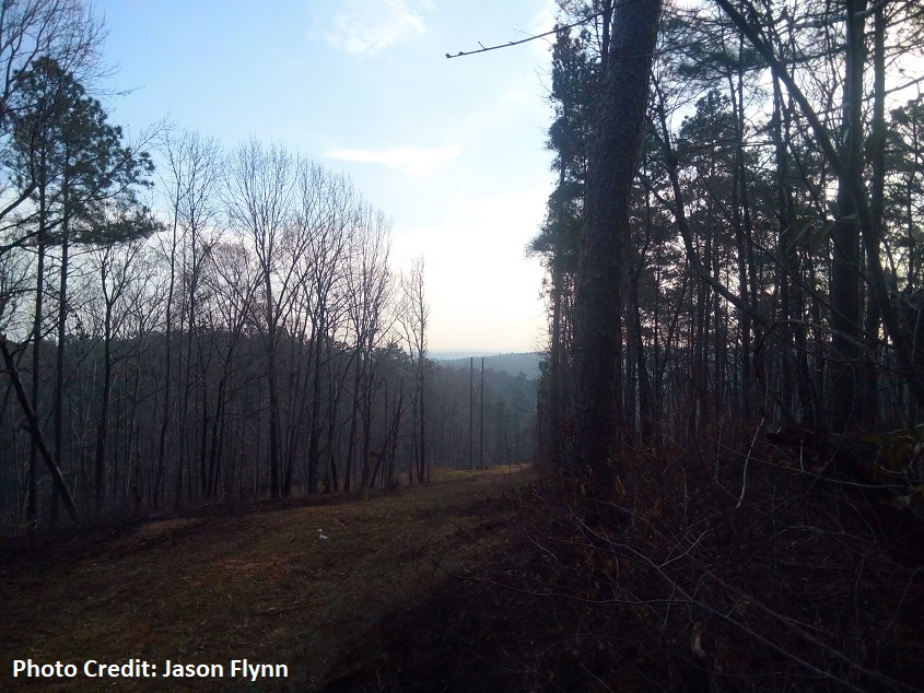 Kiokee Belt Piedmont hills near the Savannah River