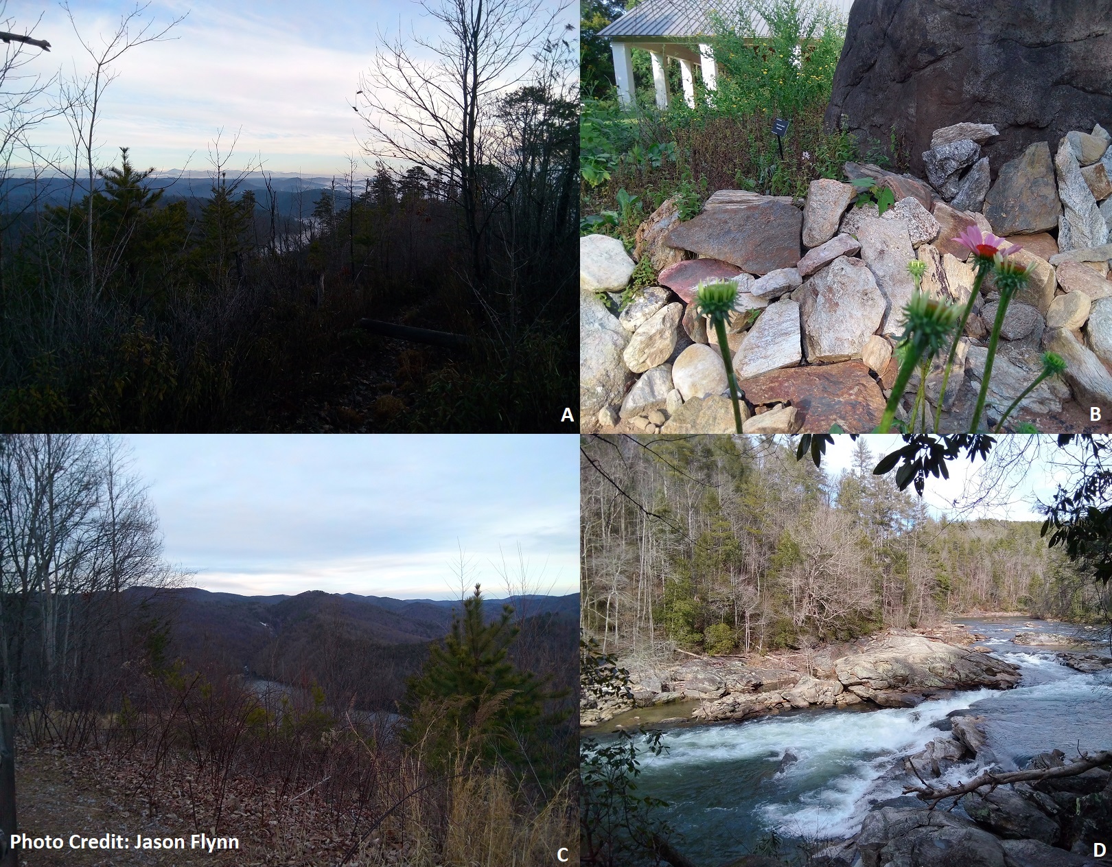 A) Brevard Zone and Blue Ridge in Oconee county B) Meeting of Blue Ridge, Brevard Zone, Inner Piedmont rocks C) Largest series of waterfalls east of the Mississippi River – the lower part is in South Carolina D) Chattooga River in the Blue Ridge