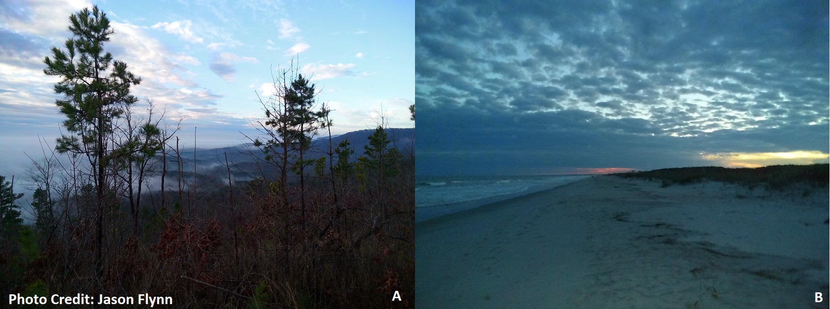 A)The clouds breaking - a “smoky” morning sunrise atop Buzzard’s Roost Mountain in the geographic Blue Ridge area. B)Sunset on the Coastal Zone beach line at Huntington Beach State Park. The natural connections and cycles continue…