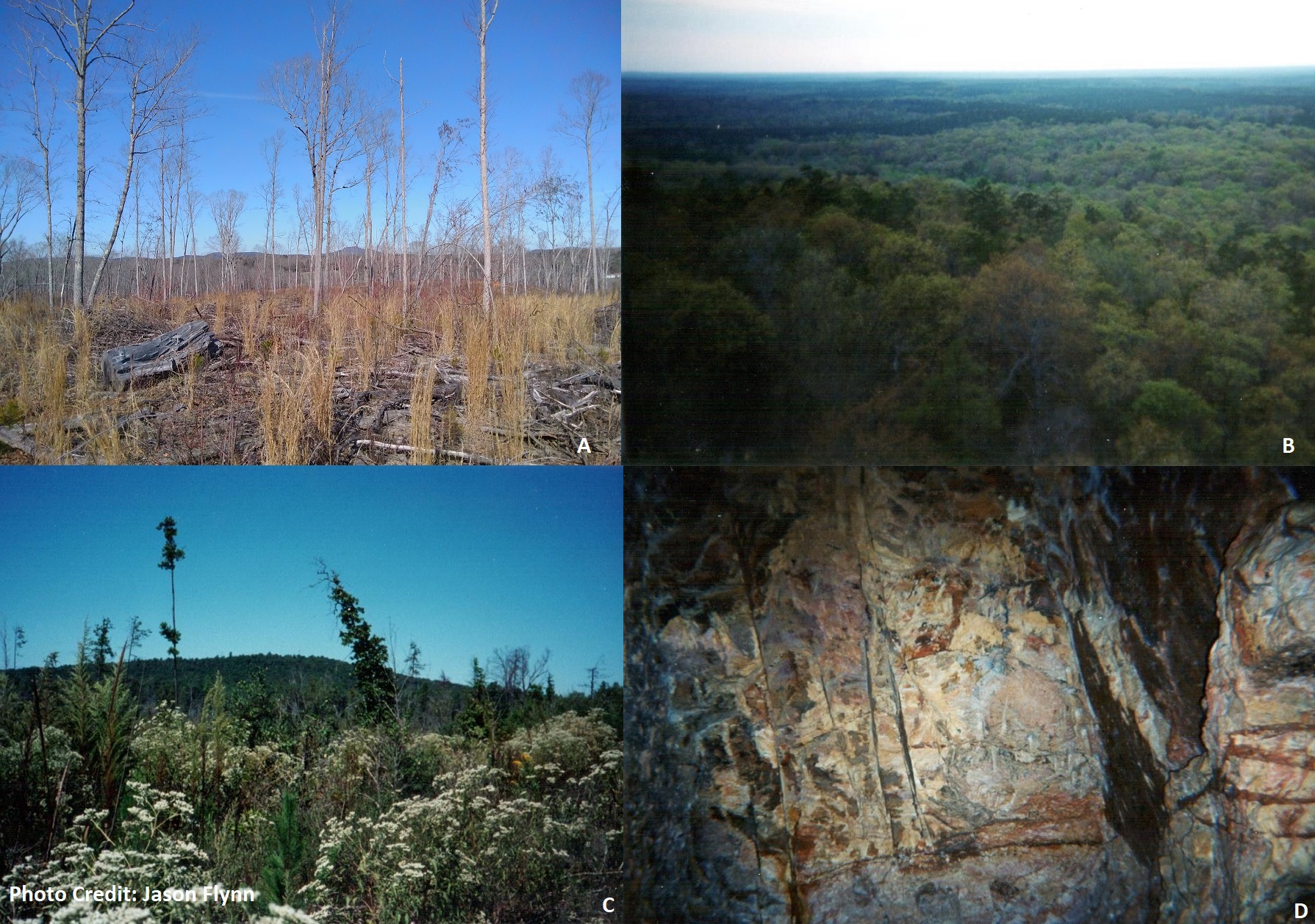 A)Ridges of the lowest grade metamorphic belt B&amp;C)The Charlotte Belt, with the King’s Mtn. Belt in the distance, atop a Charlotte Belt monadnock, or isolated mountain from the late 1990’s D)Deep from within the Carolina Slate belt in the early 2000’s.