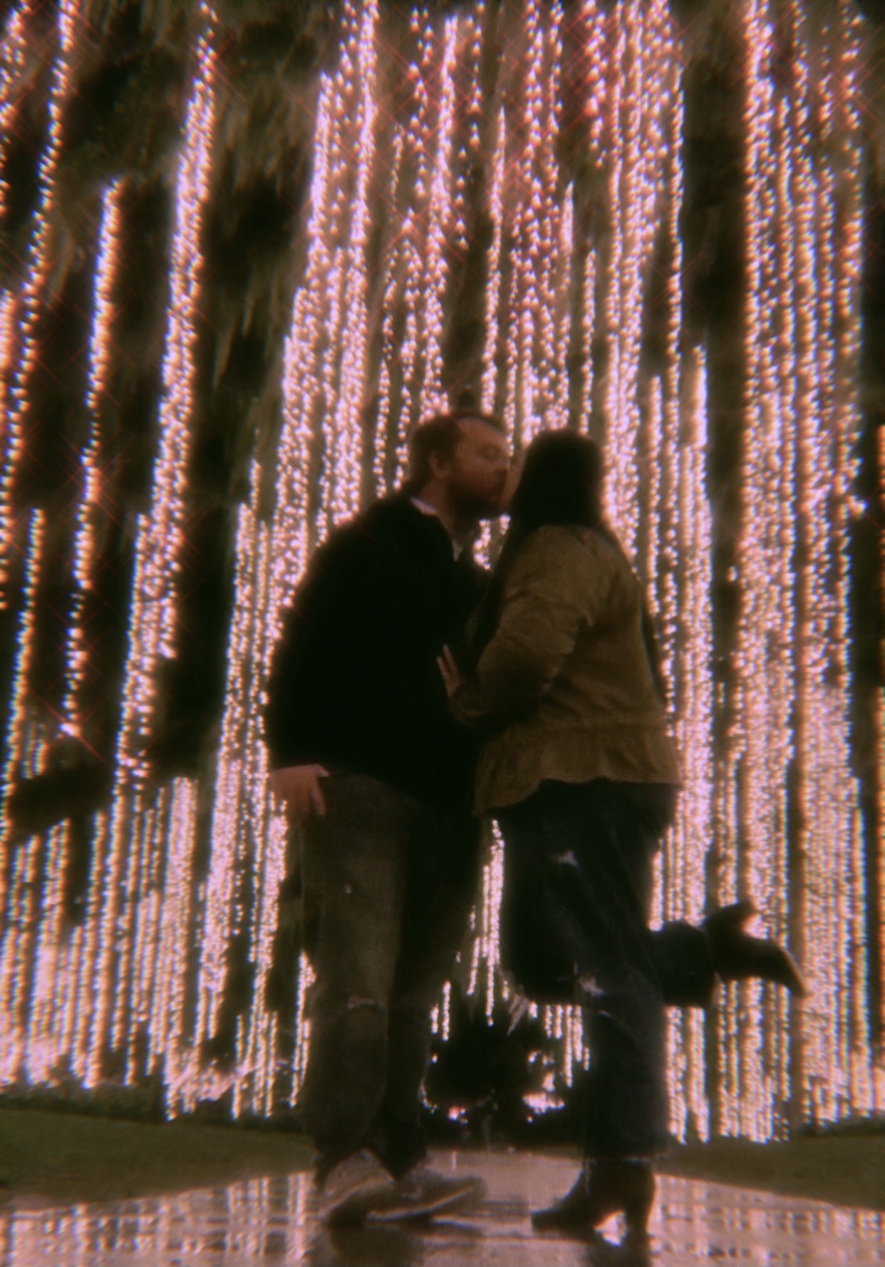 A couple is kissing on the sidewalk. The sidewalk serves as a path under the large oak trees around them. Each tree is covered with copious amounts of twinkly lights. The strands of lights hang from the top of the trees to the ground.