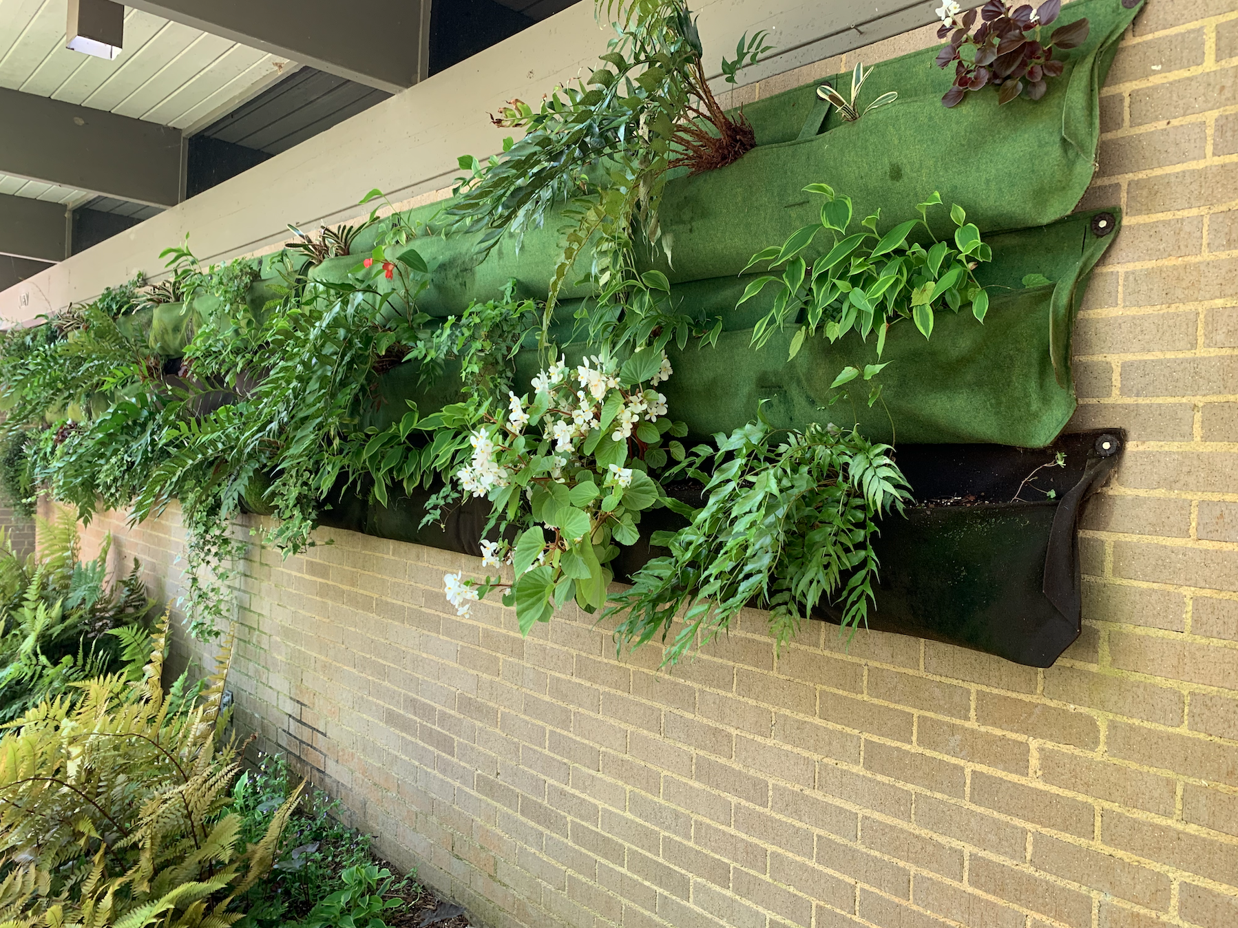 A hanging container display against a brick wall with plants spilling over. The display has three rows of fabric containers. The top row is light green, the middle is dark green, and the bottom is black. 