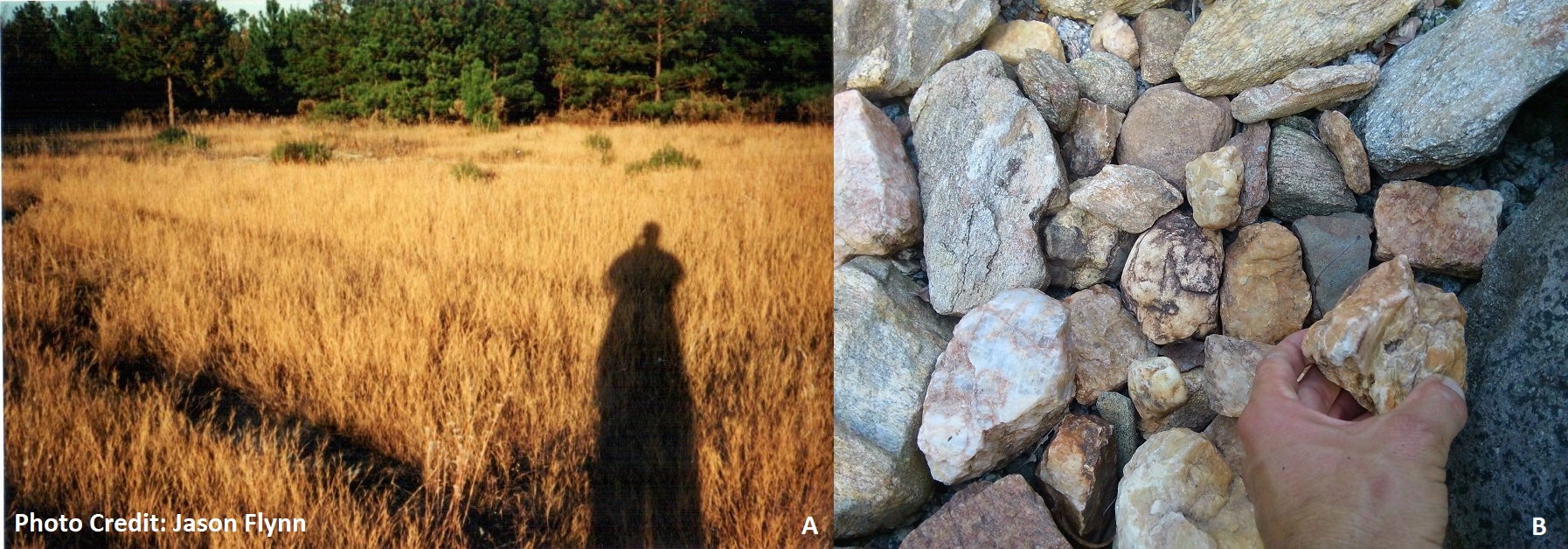 A) Photo from the mid 1990’s - my long winter’s shadow in the Barnwell Sand formation, on a sandhill in the Upper Coastal Plain of SC. B) The first rocks found on display – from 1994 - in Spartanburg County by the Greenville County line.