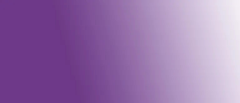 Workshops _ Purple header