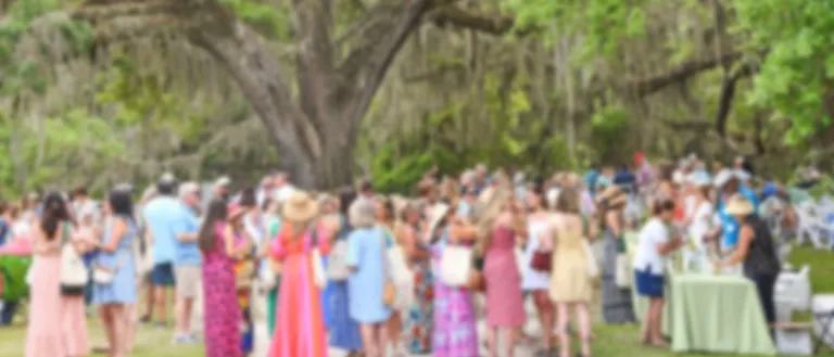 Spring Wine Festival crowd