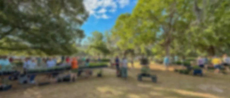 Fall Plant Sale header image