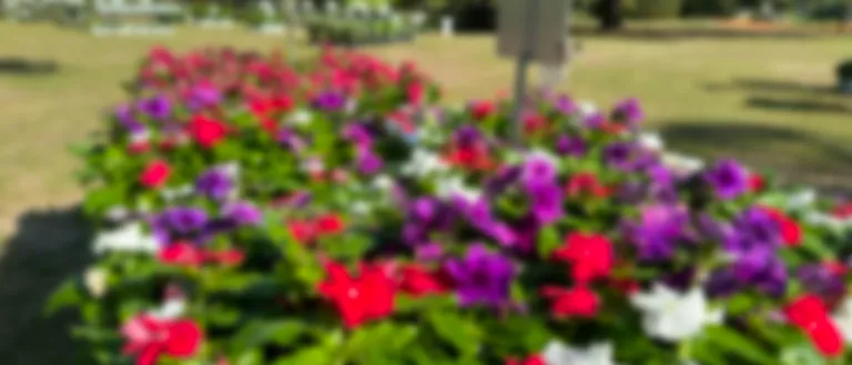 Spring Plant Sale