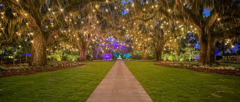 Summer Light: Art By Night in Live Oak Allee