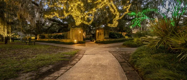 Nights of a Thousand Candles 2024