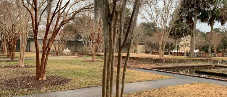 There are six bare crape myrtles in a line at the back of the Poetry Garden. Behind this line of crape myrtles are more plants, including rose bushes, palm trees, and additional crape myrtles. 