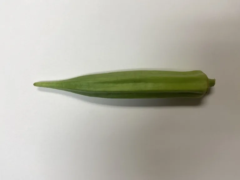 Abelmoschus esculentus 'Clemson Spineless' fruit