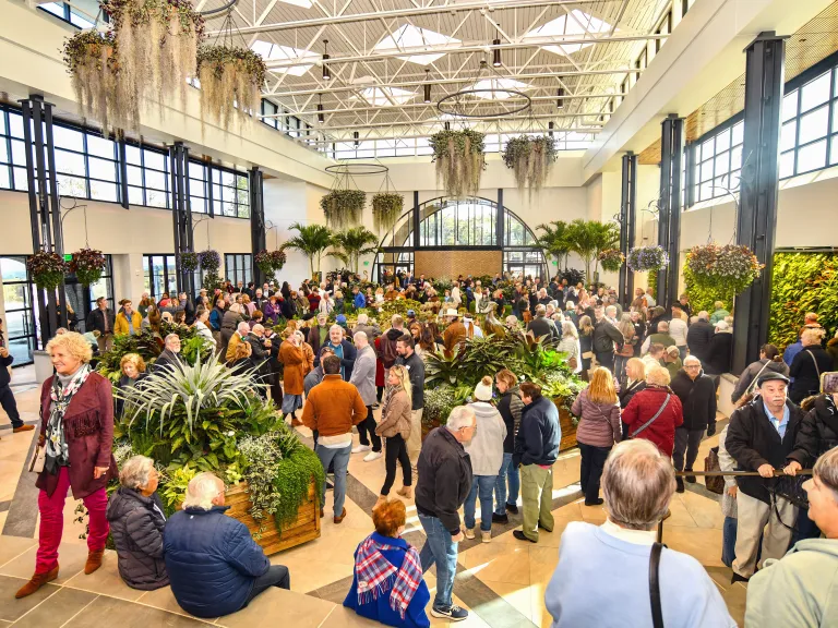 Purdy Center Great Gall