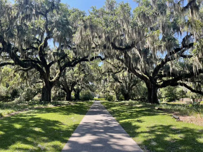Brookgreen Gardens In Charleston SC