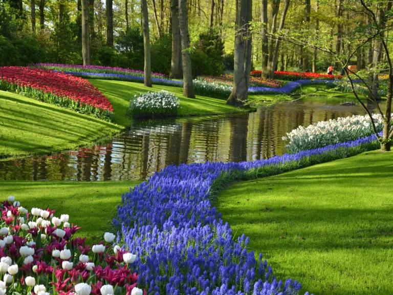 Keukenhoff Gardens
