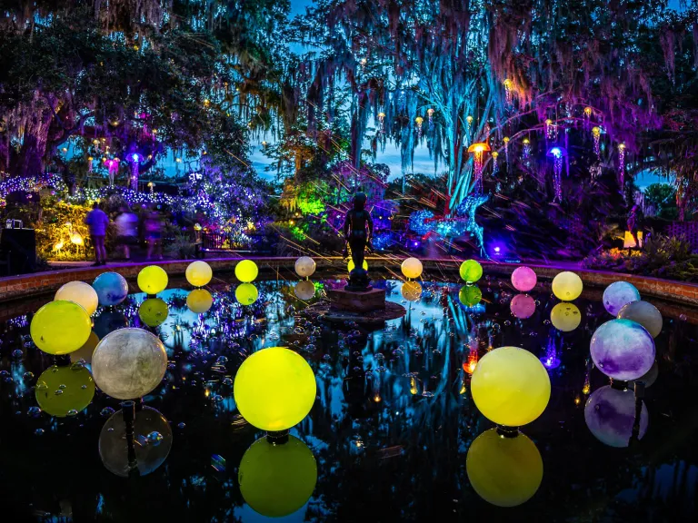 Summer Light: Art By Night in the Children's Garden at Brookgreen Gardens