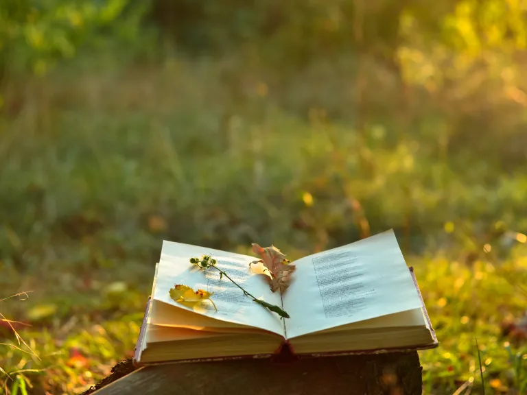 Vintage Poetry Book outside in the gardens