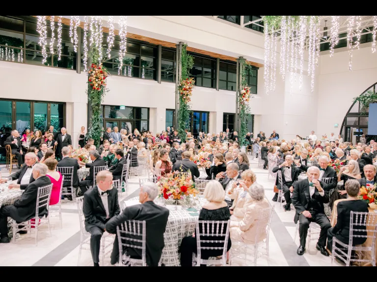 Gala