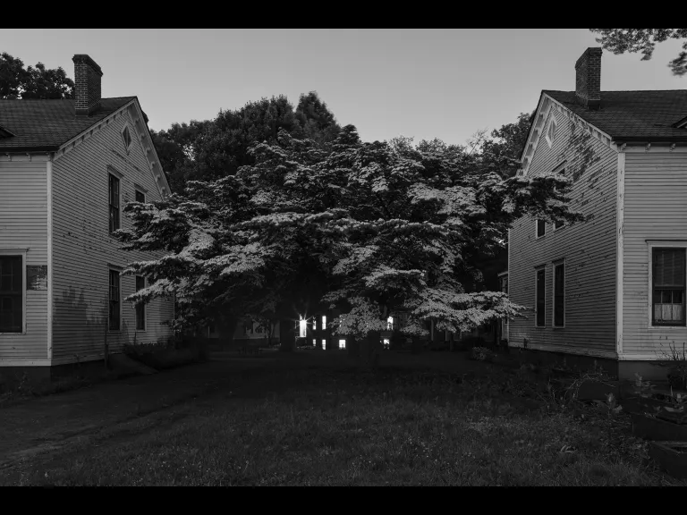 Night Photography by David Johnson