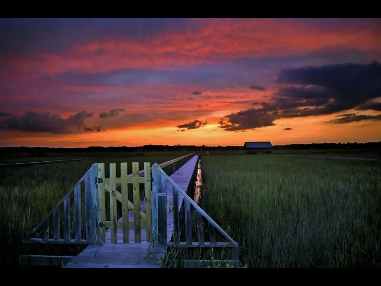 Tanya Ackerman Photo of the Pawleys Island Creek