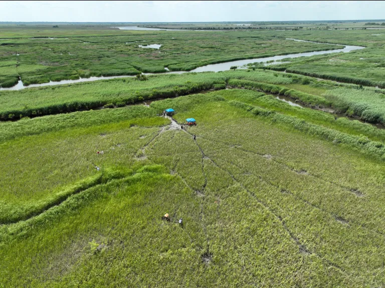 North and South Santee River branches in Georgetown County