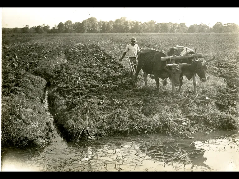 Bayard Wootten _ Black and White photo