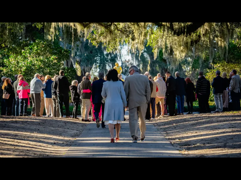 Romance in the Gardens