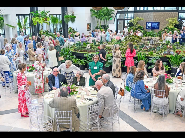 Woman of Visions Award Luncheon in the Purdy Center