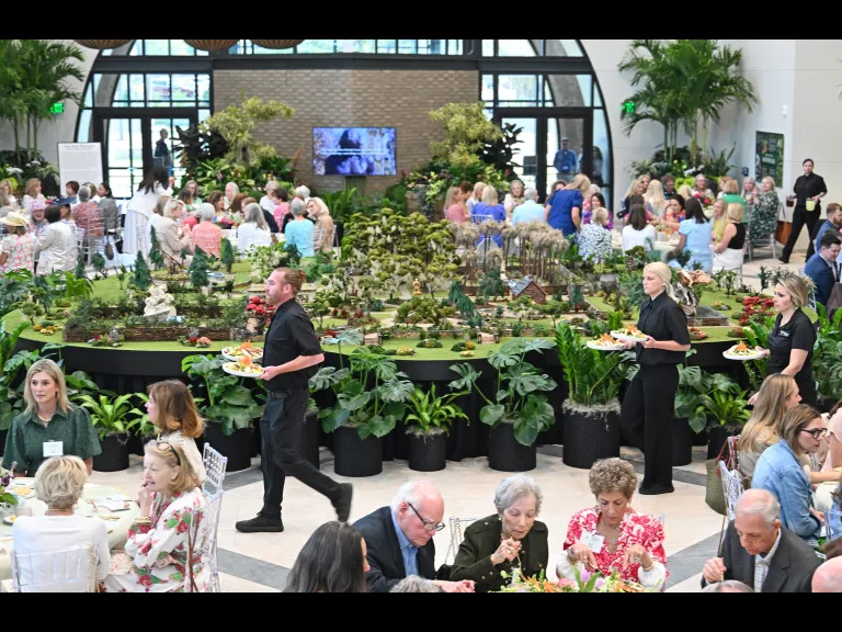 Woman of Visions Award Luncheon in the Purdy Center