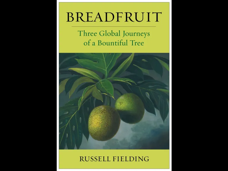 Breadfruit by Russell Fielding