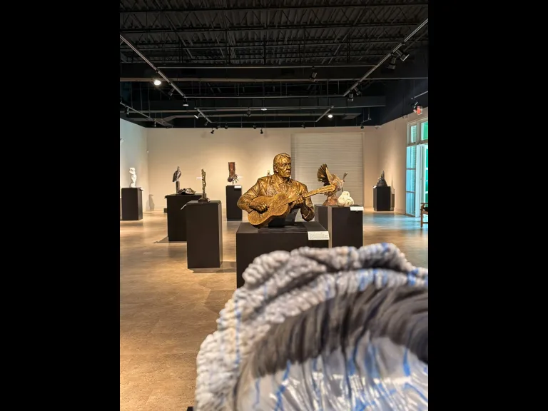 National Sculpture Society 93rd Annual Awards Exhibition in the Rosen Galleries at Brookgreen Gardens