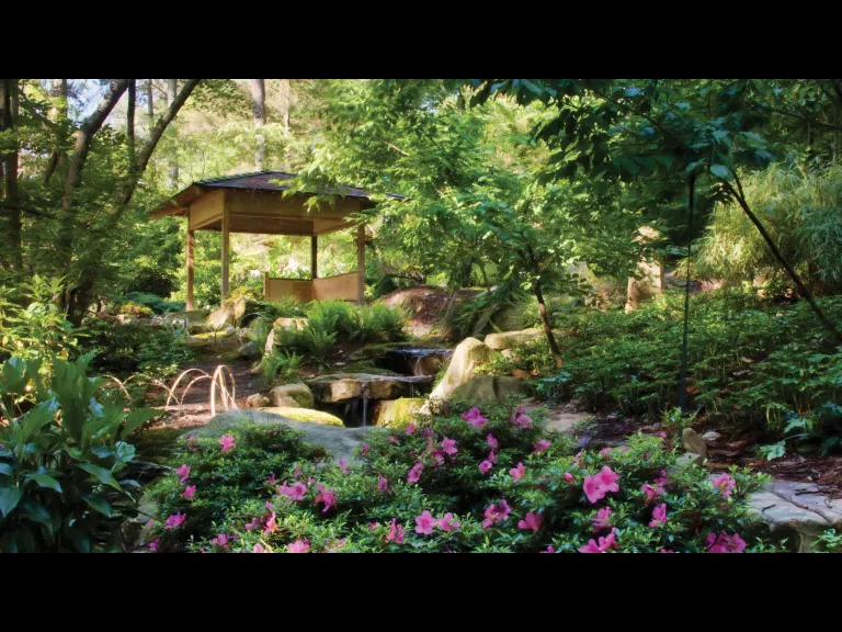 Sarah P. Duke Gardens _ Brookgreen U