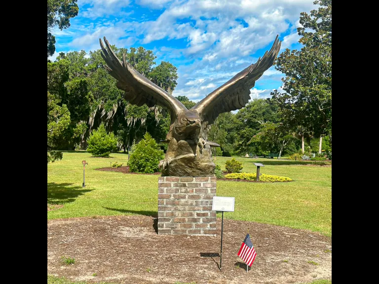 Presidential Eagle