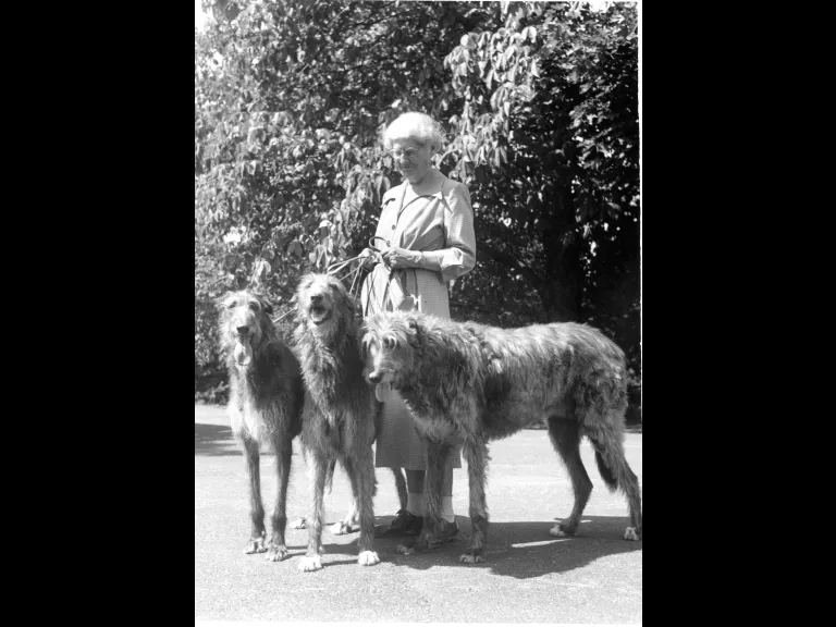 Anna Hyatt Huntington standing with Deerhounds