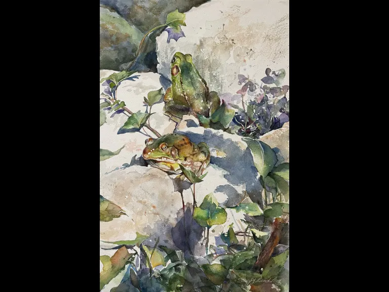Stacy Levy Lund painting - frogs