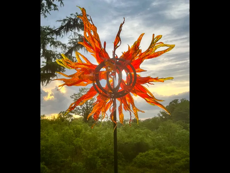 Gardens of Glass 'Fireball' by Craig Mitchell Smith