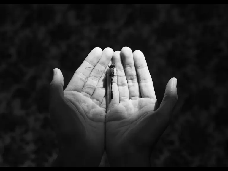 Easton Selby - Conjure