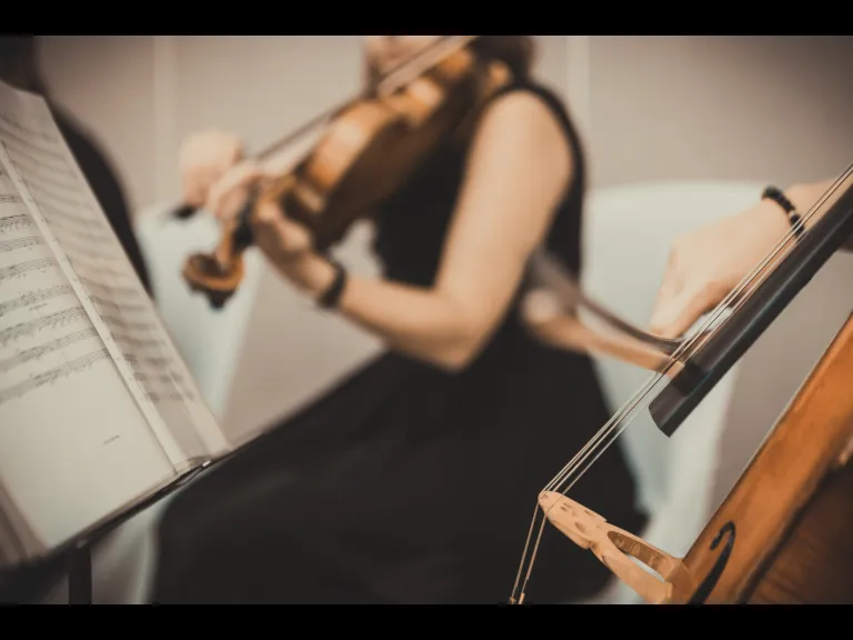 String Quartet