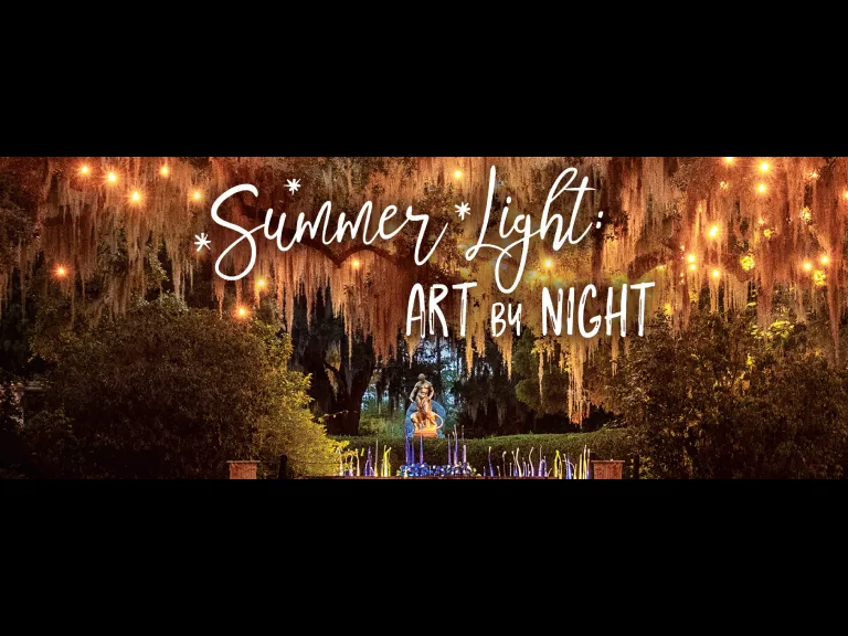 Summer Light: Art By Night