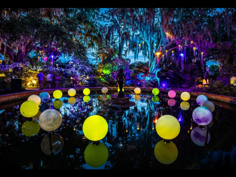 Summer Light: Art By Night in the Children's Garden at Brookgreen Gardens