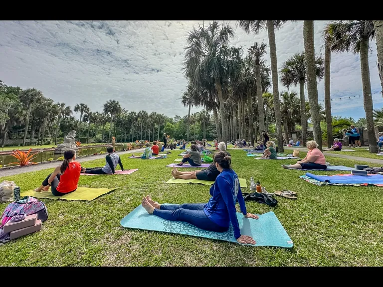 Yoga in the Gardens