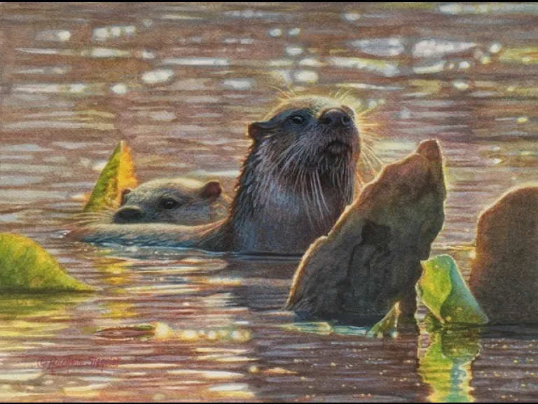 Society of Animal Artists Painting