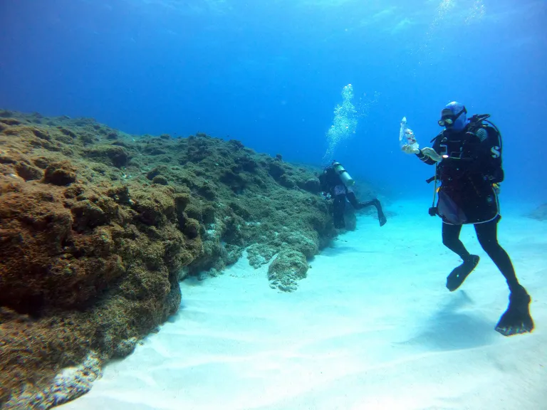 Scuba Diving with Seaweed