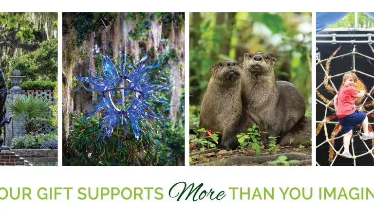 Annual Appeal Banner 2025