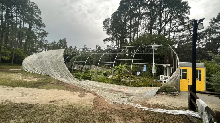 Butterfly House destroyed at Brookgreen