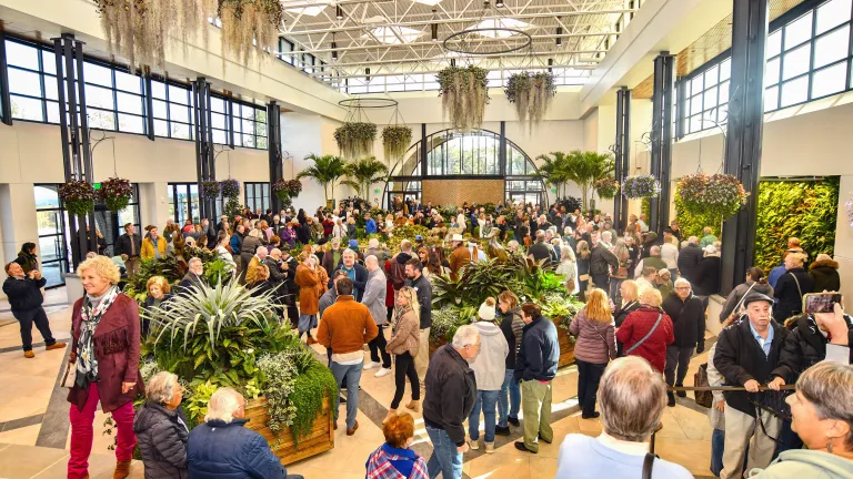 Purdy Center Great Gall