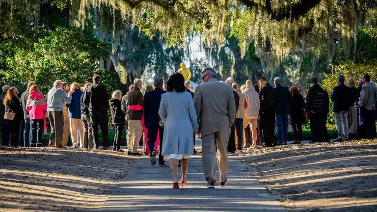 Romance in the Gardens