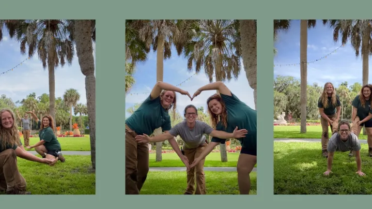 Horticulturists at play