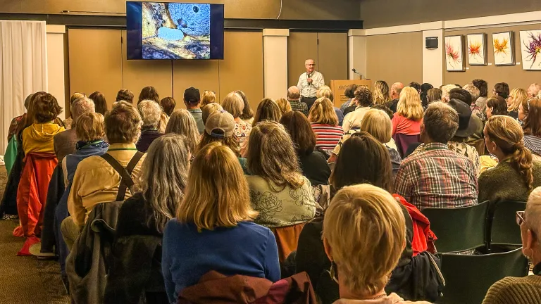 Adult programs in the Ron Daise Auditorium