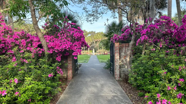 April in the Gardnes