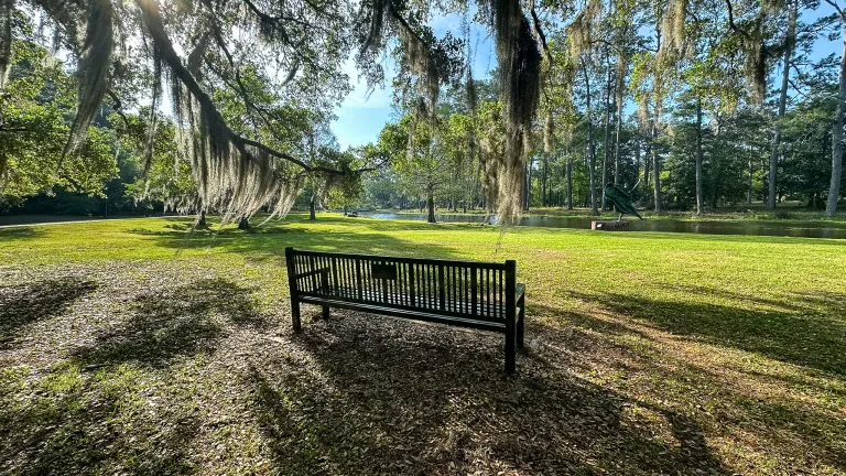 Bench at Brookgreen Gardens